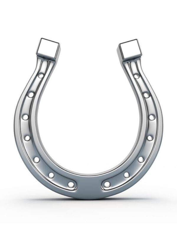 Horse Shoes