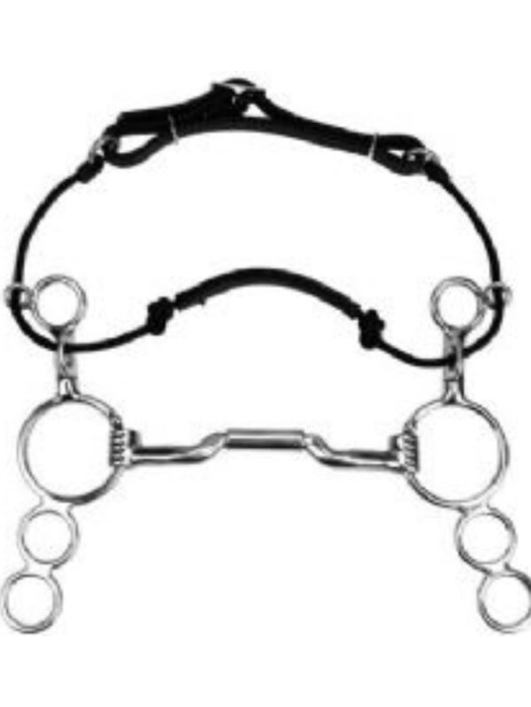 Myler Combination Bits