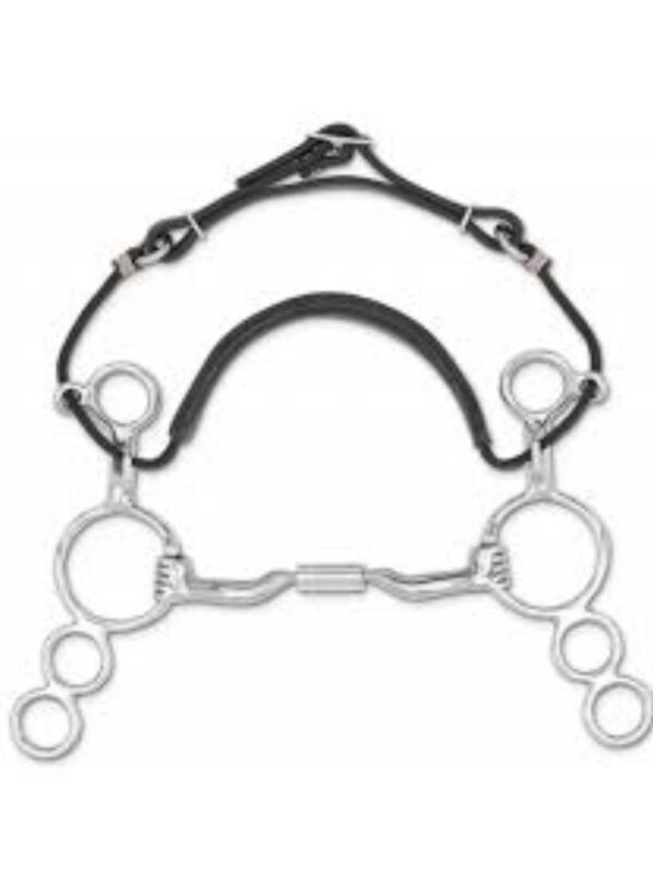 Myler Combination Bits