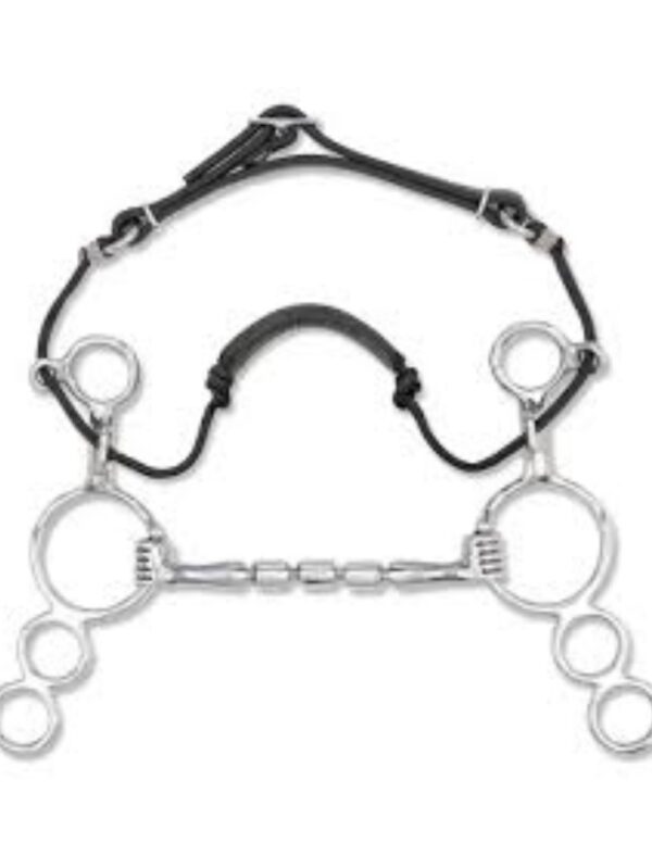 Myler Combination Bits